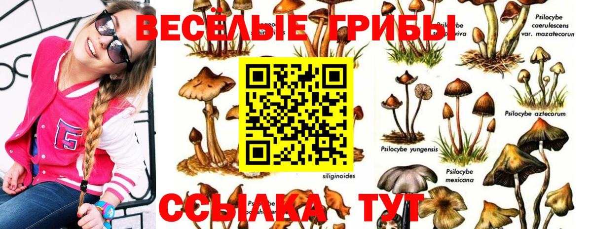 Великие Луки  как найти закладки  Псилоцибиновые грибы Psilocybine cubensis  Вход с VPN  Псилоцибиновые грибы мицелий 